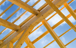 Berater für Berater