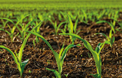 Steuerinfos Landwirte