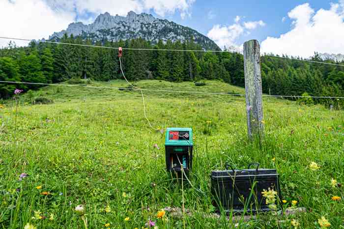 Weide - © Countrypixel - stock.adobe.com