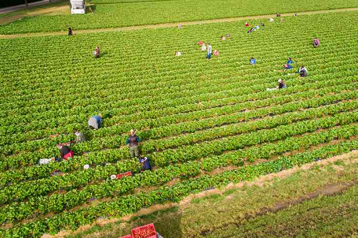 Feldarbeiter - © Countrypixel - stock.adobe.com