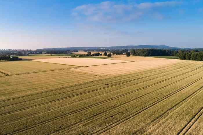 Felder - © Countrypixel - stock.adobe.com