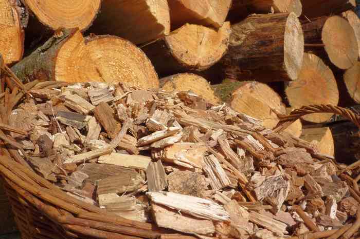 Holzhackschnitzel - © goldbany - stock.adobe.com