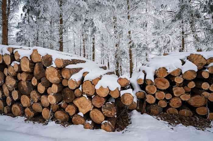 Holzstapel im Schnee - © Countrypixel - stock.adobe.com
