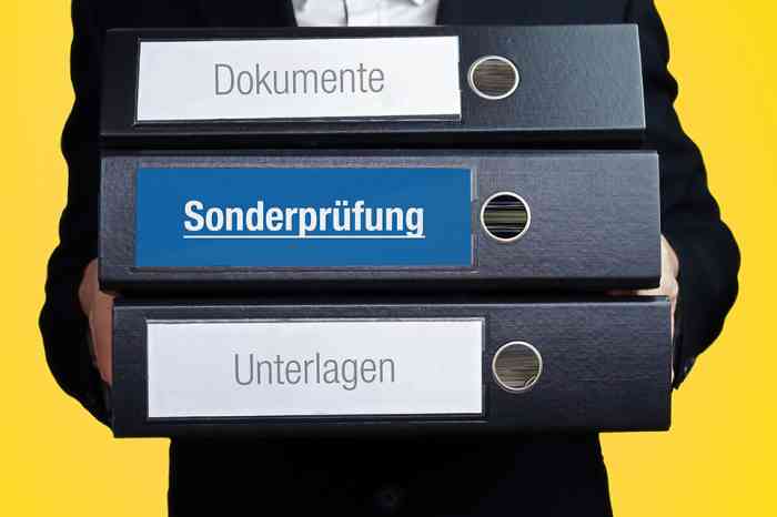 Ordner für Dokument, Sonderprüfung und Unterlagen - © MQ-Illustrations - stock.adobe.com
