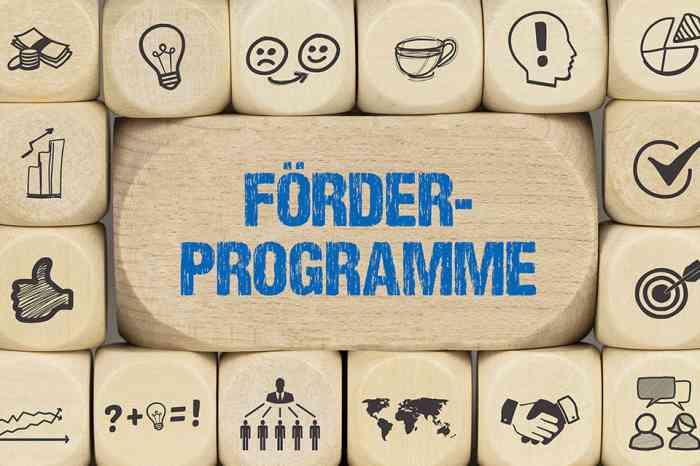 Schriftzug Förderprogramm - © magele-picture - stock.adobe.com